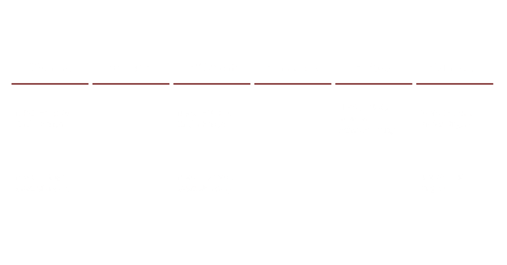 Kampfsport in Dormagen Trainingsplan